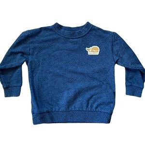 Patagonia Toddler Sweatshirt